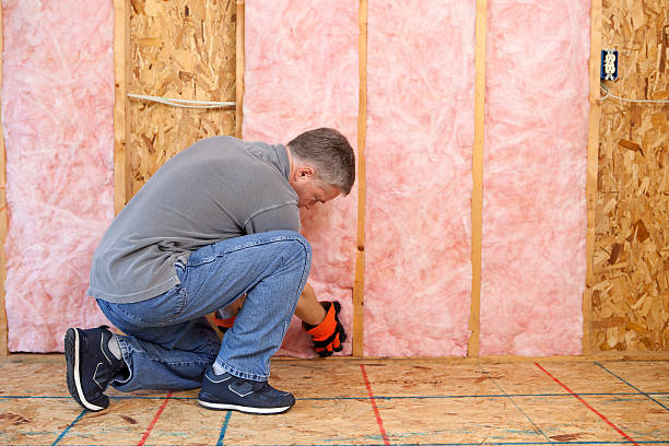 Best Insulation Replacement Services  in Plumsteadville, PA