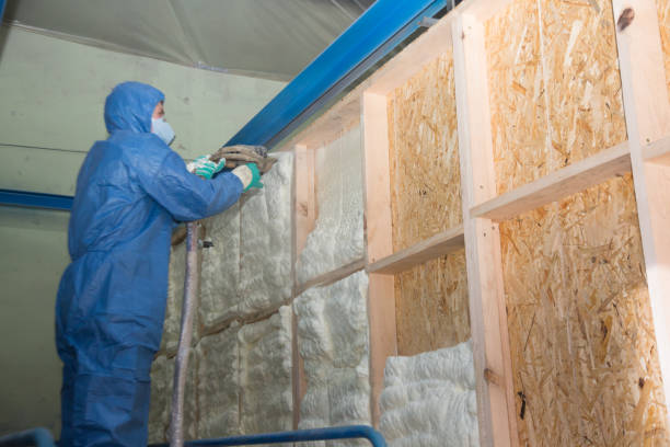 Best Insulation Removal Services  in Plumsteadville, PA