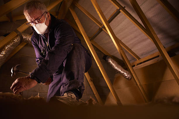 Trusted Plumsteadville, PA Insulation Contractor Experts